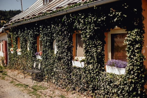 Domček na Staromestskej