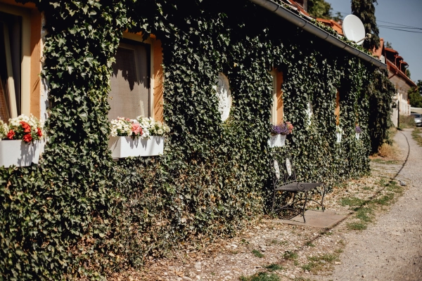 Domček na Staromestskej