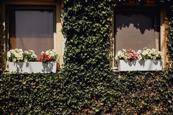 Domček na Staromestskej