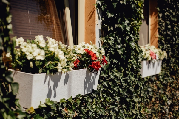 Domček na Staromestskej