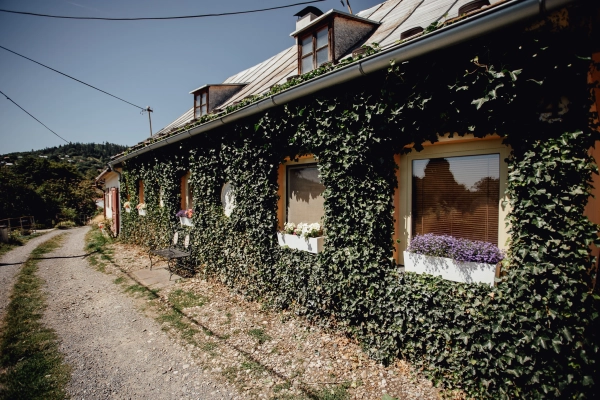 Domček na Staromestskej